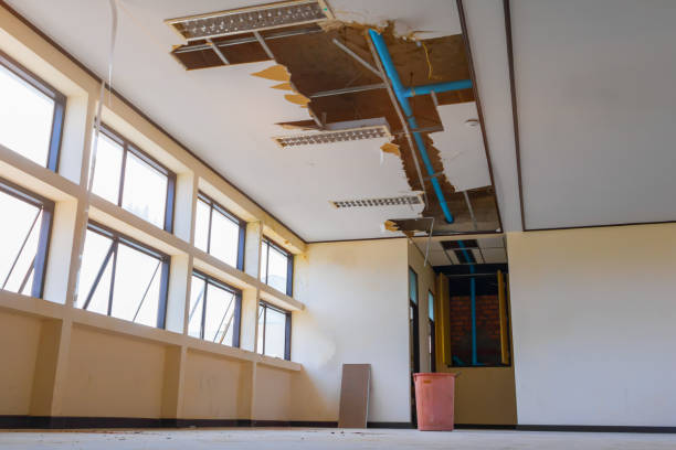 Best Mold removal after water damage  in Delta, CO