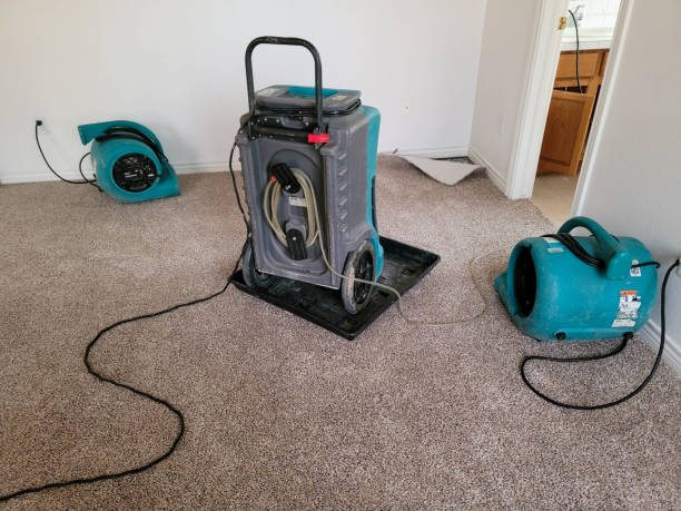 Best Mold removal after water damage  in Delta, CO