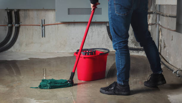 Best Residential water damage restoration  in Delta, CO
