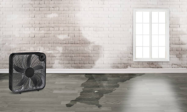 Carpet water damage restoration in CO