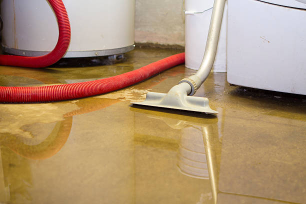  Delta, CO Water damage restoration Pros