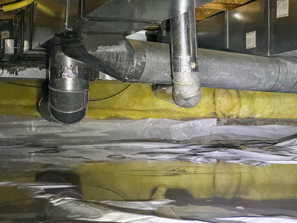 Best Flood damage cleanup  in Delta, CO