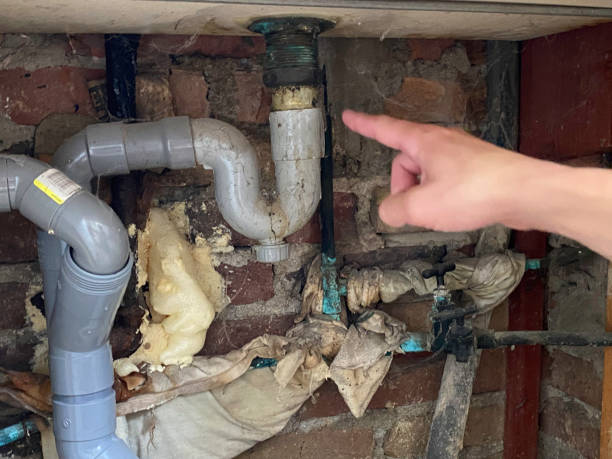 Best Ceiling water damage repair  in Delta, CO